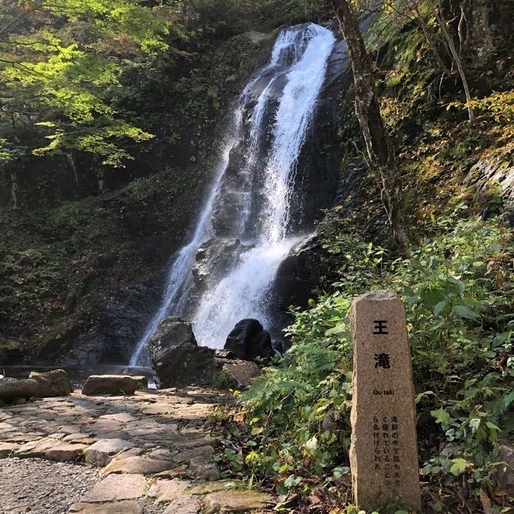 emotional_market_0124さんが投稿した宇津江四十八滝総合案内所に関する口コミの画像