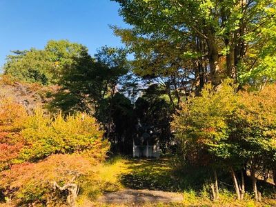 南平台温泉ホテル