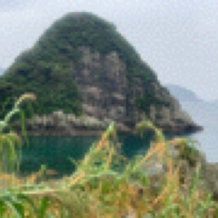 Hatsumi kameさんが投稿した秋目浦に関する口コミの画像