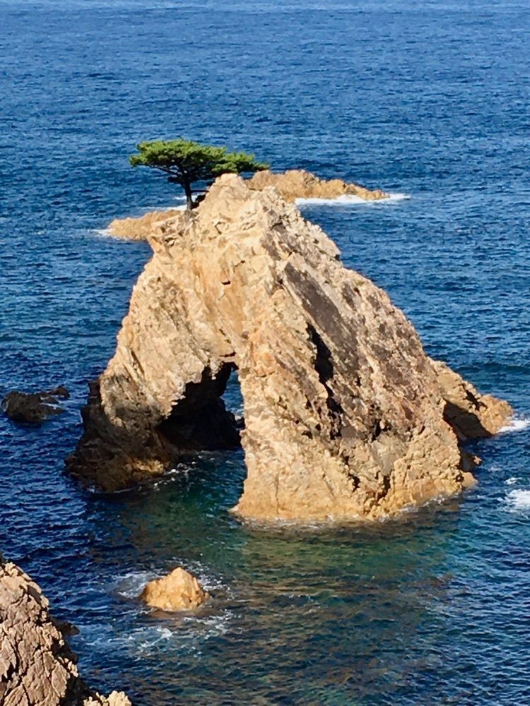 yoshiさんが投稿した千貫松島に関する口コミの画像