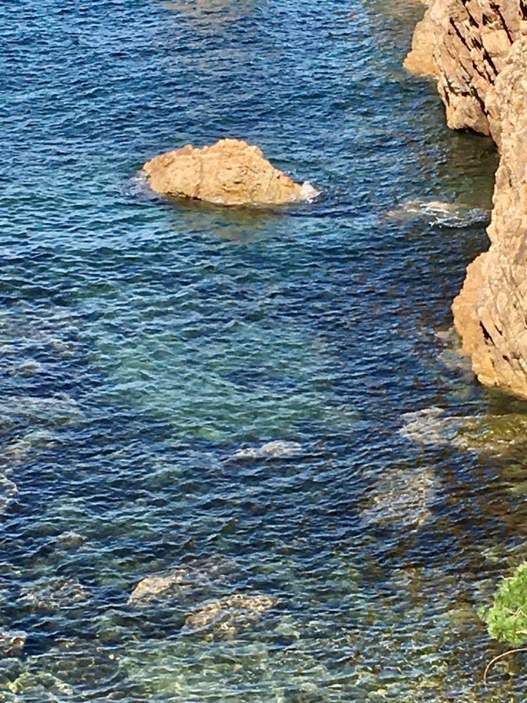 yoshiさんが投稿した千貫松島に関する口コミの画像