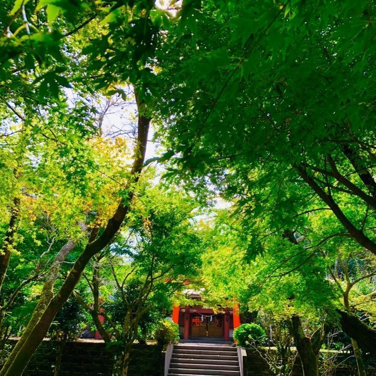 ユリユリさんが投稿した池田湖パラダイスに関する口コミの画像