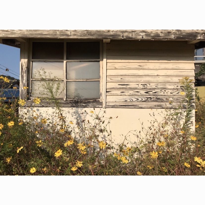 active_studio_6067さんが投稿した崎山駅に関する口コミの画像