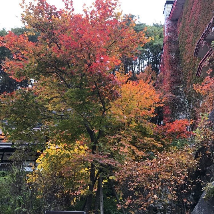 eririnさんが投稿した横谷峡の紅葉に関する口コミの画像