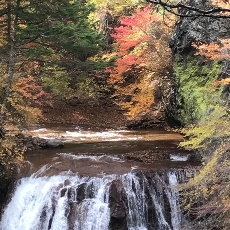 eririnさんが投稿した横谷峡の紅葉に関する口コミの画像