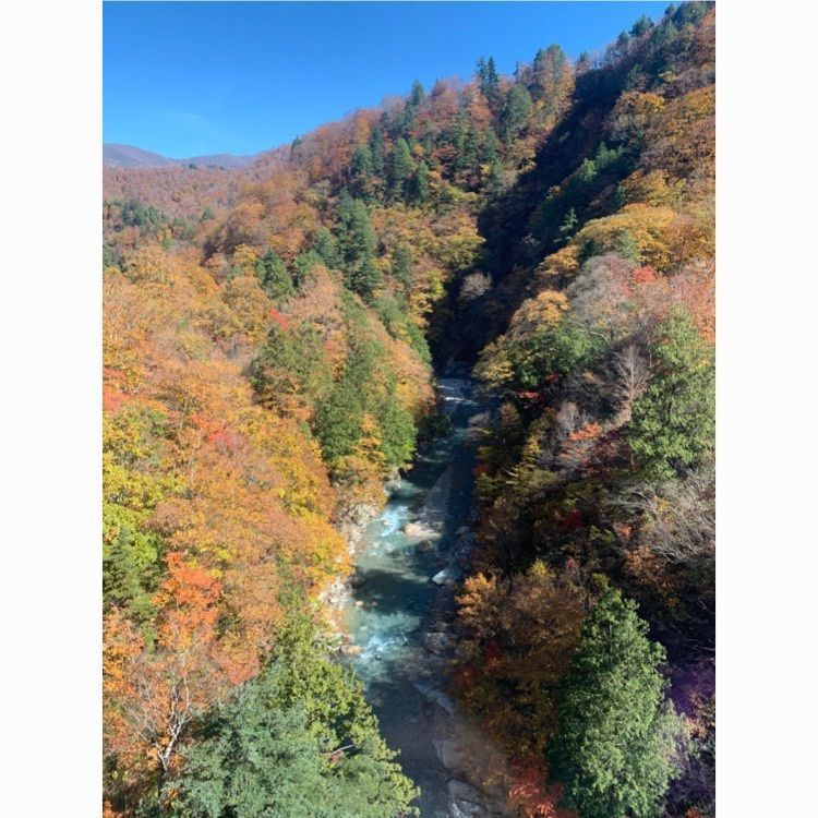 familiar_location_2e95さんが投稿した苗場山に関する口コミの画像