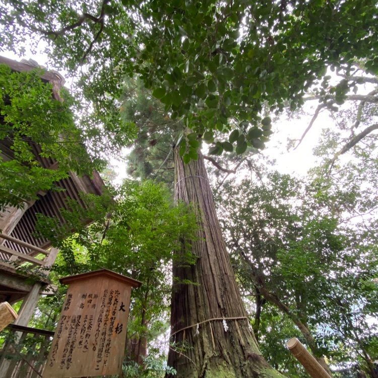 tabi_02さんが投稿した須佐神社に関する口コミの画像