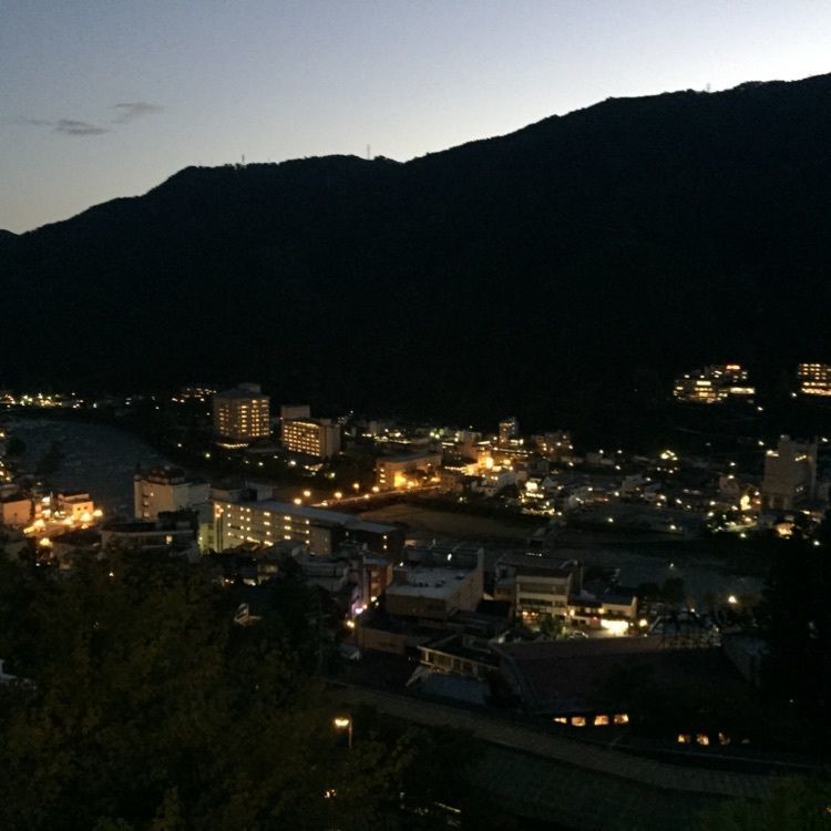 satomi.iwさんが投稿した湯之島館（ゆのしまかん）に関する口コミの画像