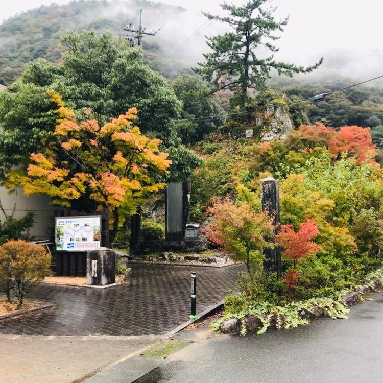 まきさんが投稿した道の駅 長門峡に関する口コミの画像
