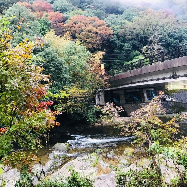 まきさんが投稿した道の駅 長門峡に関する口コミの画像