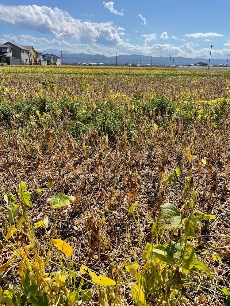 らぐ🏉🍺ビアさんが投稿した白山市に関する口コミの画像