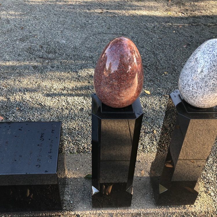 タッキーさんが投稿した伊勢原大神宮に関する口コミの画像