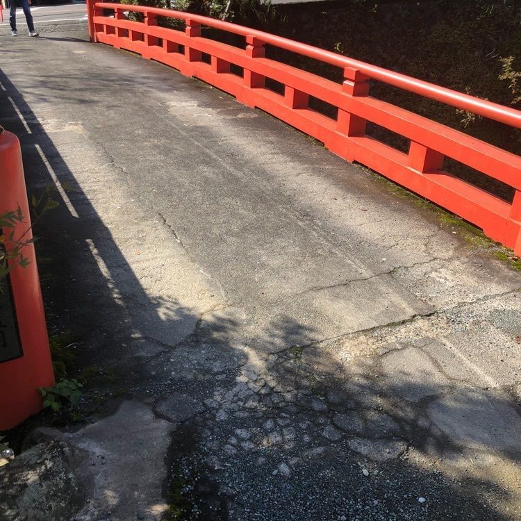 タッキーさんが投稿したかめ井旅館に関する口コミの画像