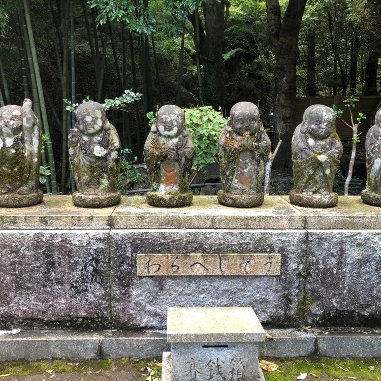 タッキーさんが投稿した山ゆりに関する口コミの画像