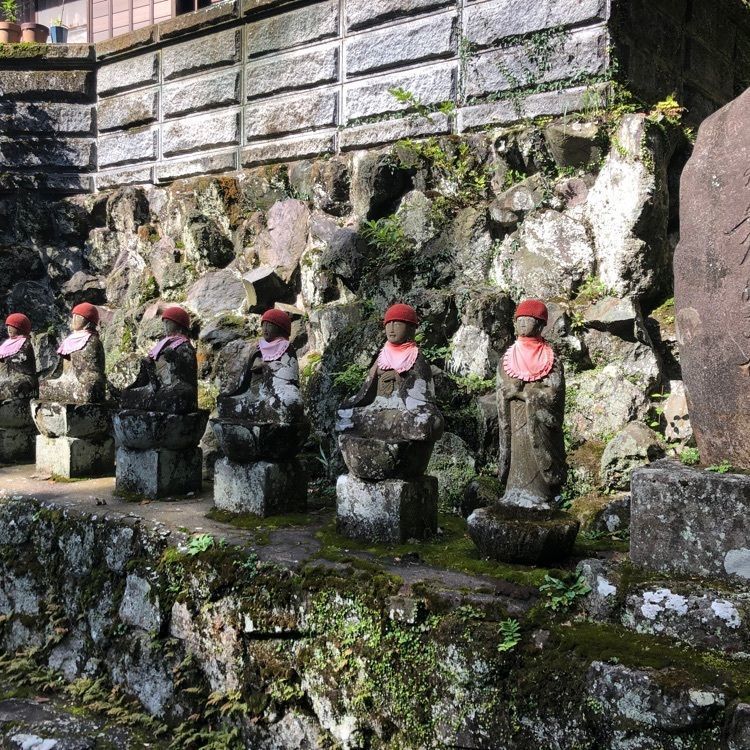 タッキーさんが投稿した山ゆりに関する口コミの画像