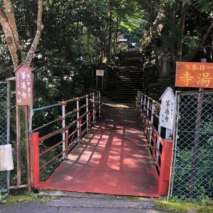 タッキーさんが投稿した山ゆりに関する口コミの画像