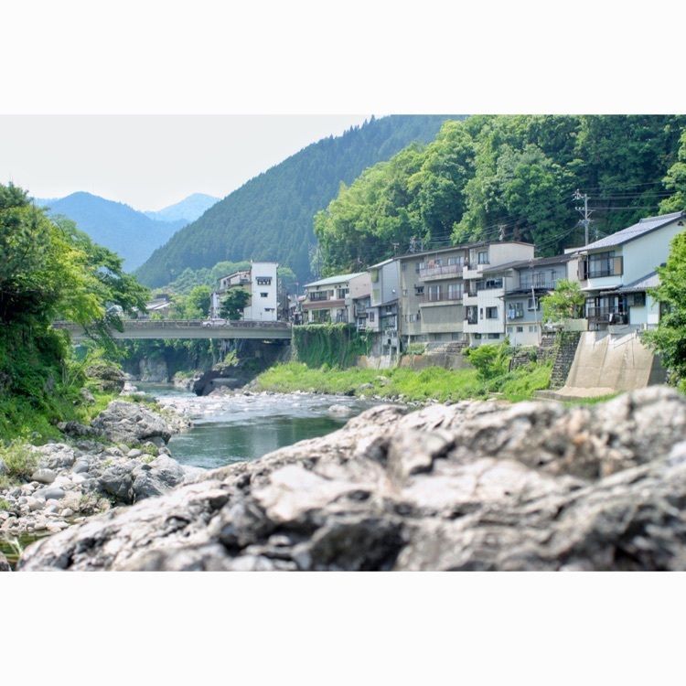 neco-meさんが投稿した吉田川に関する口コミの画像