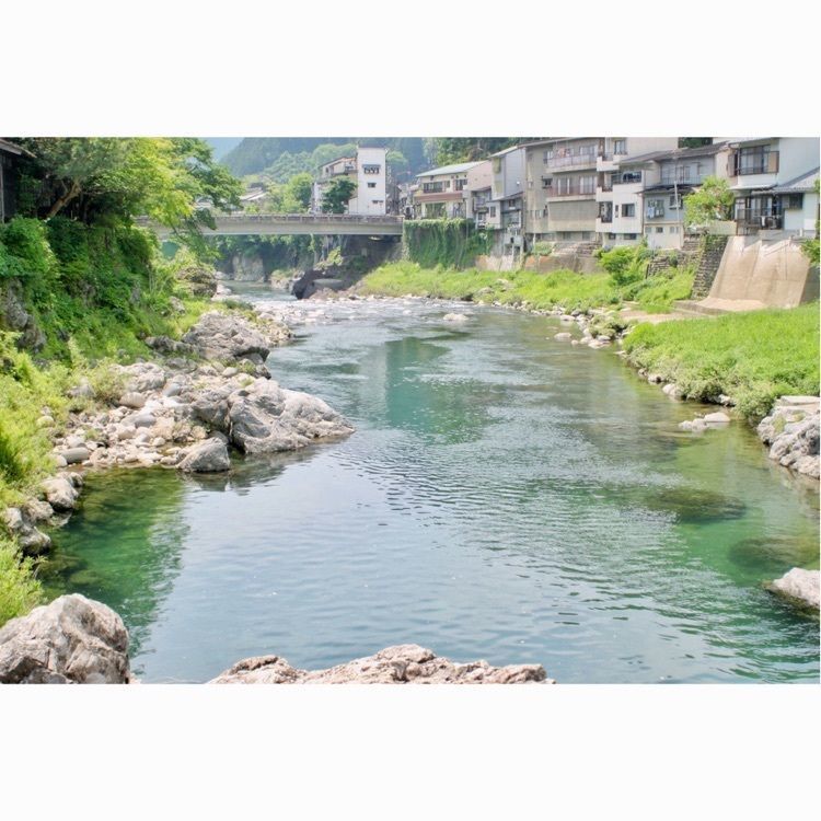 neco-meさんが投稿した吉田川に関する口コミの画像