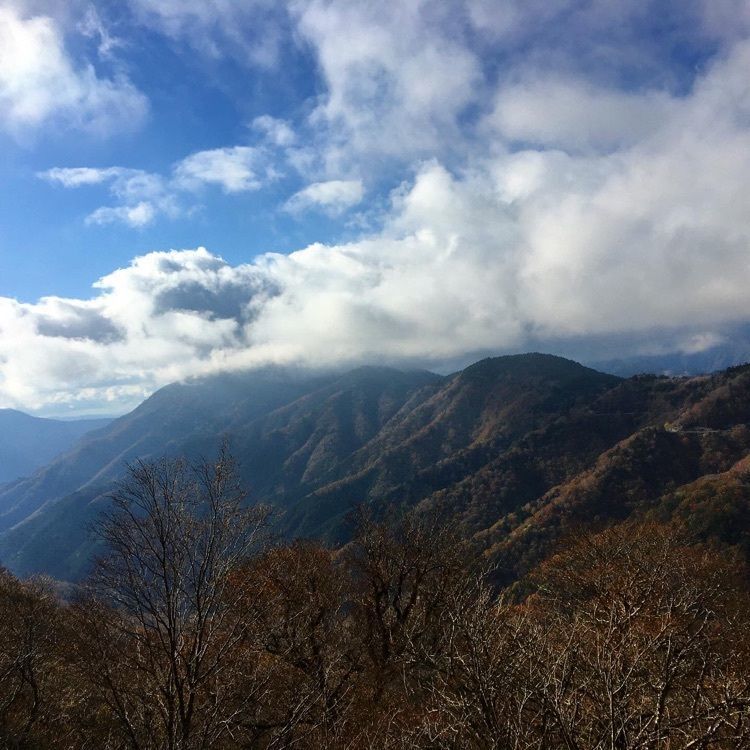 cool_culture_9717さんが投稿した剣山県民の森に関する口コミの画像