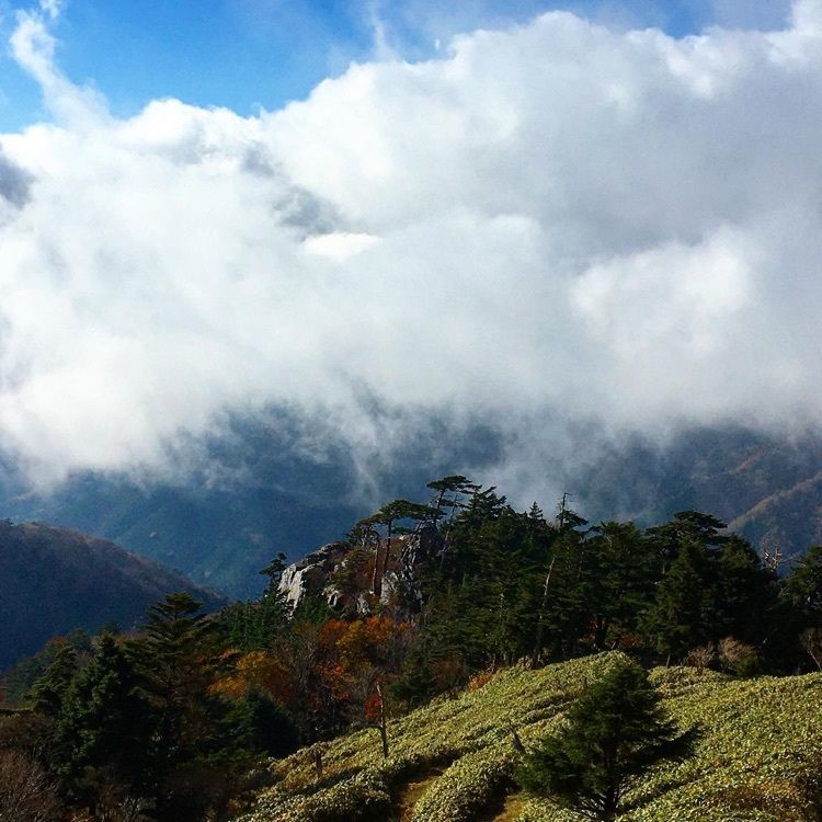cool_culture_9717さんが投稿した剣山県民の森に関する口コミの画像