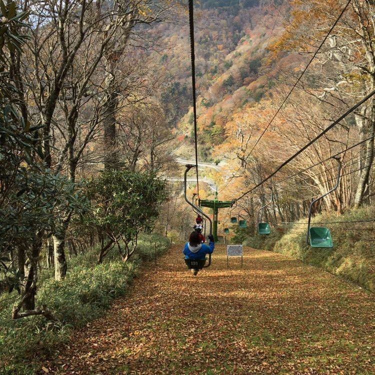 cool_culture_9717さんが投稿した剣山県民の森に関する口コミの画像