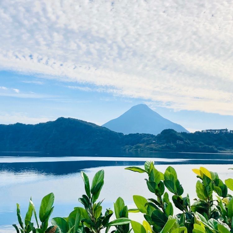 ユリユリさんが投稿した池田湖遊園地に関する口コミの画像