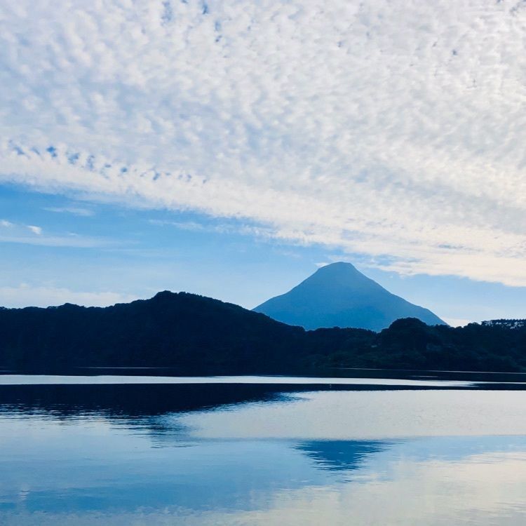 ユリユリさんが投稿した池田湖遊園地に関する口コミの画像
