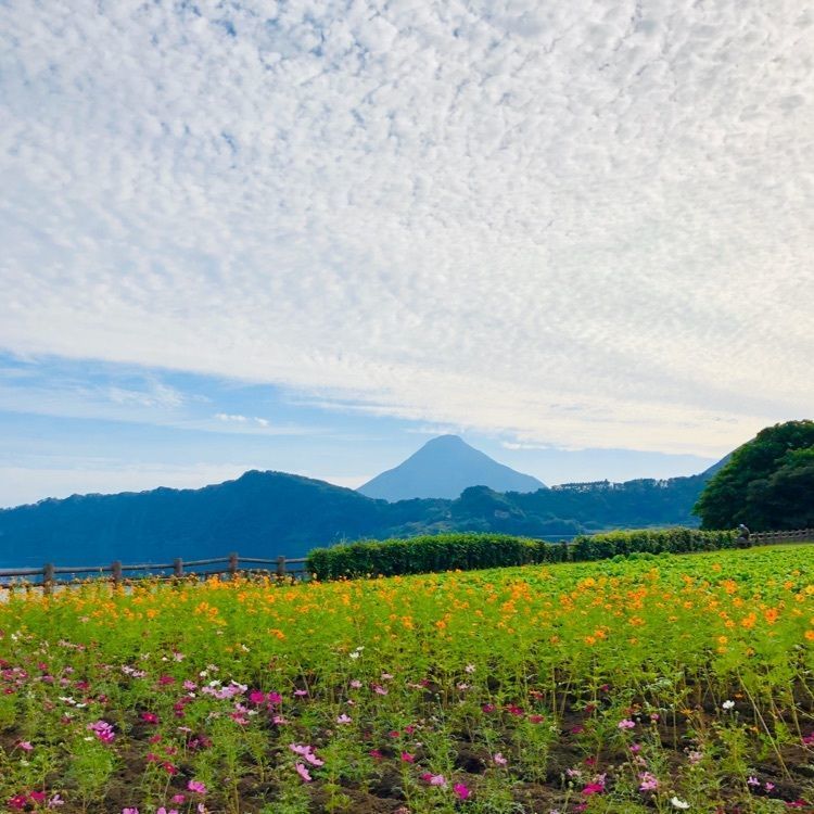 ユリユリさんが投稿した池田湖遊園地に関する口コミの画像