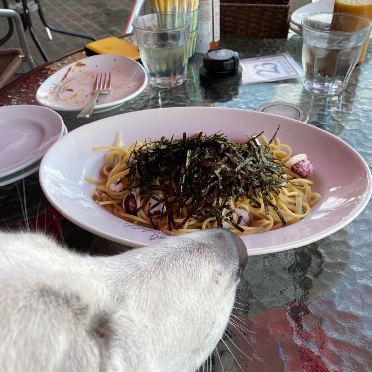 wonderful_street_830dさんが投稿したイタリア食堂 イルキャンティ河口湖に関する口コミの画像