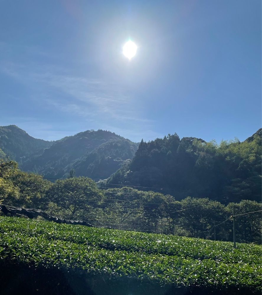 hirokororinさんが投稿した滝ノ谷不動峡に関する口コミの画像