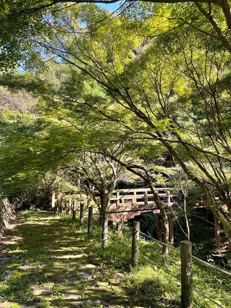 hirokororinさんが投稿した滝ノ谷不動峡に関する口コミの画像