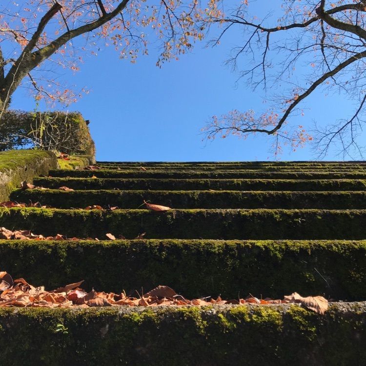 あきさんが投稿した樹木公園に関する口コミの画像