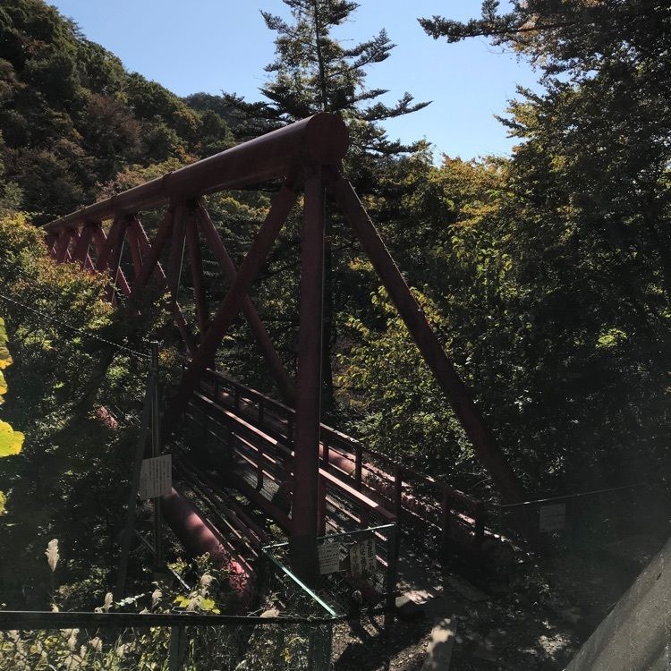 nostalgic_culture_2329さんが投稿したBUNGY JAPAN 猿ヶ京バンジーに関する口コミの画像