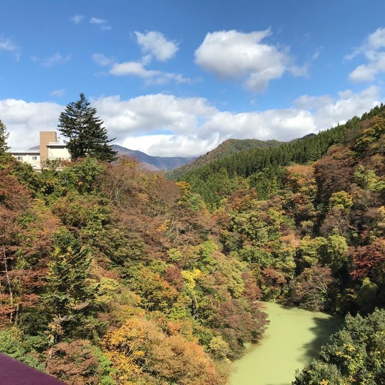 nostalgic_culture_2329さんが投稿したBUNGY JAPAN 猿ヶ京バンジーに関する口コミの画像