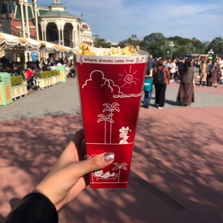 #ポップコーン #東京ディズニーランド #ディズニーランド #ディズニーランドグルメ
