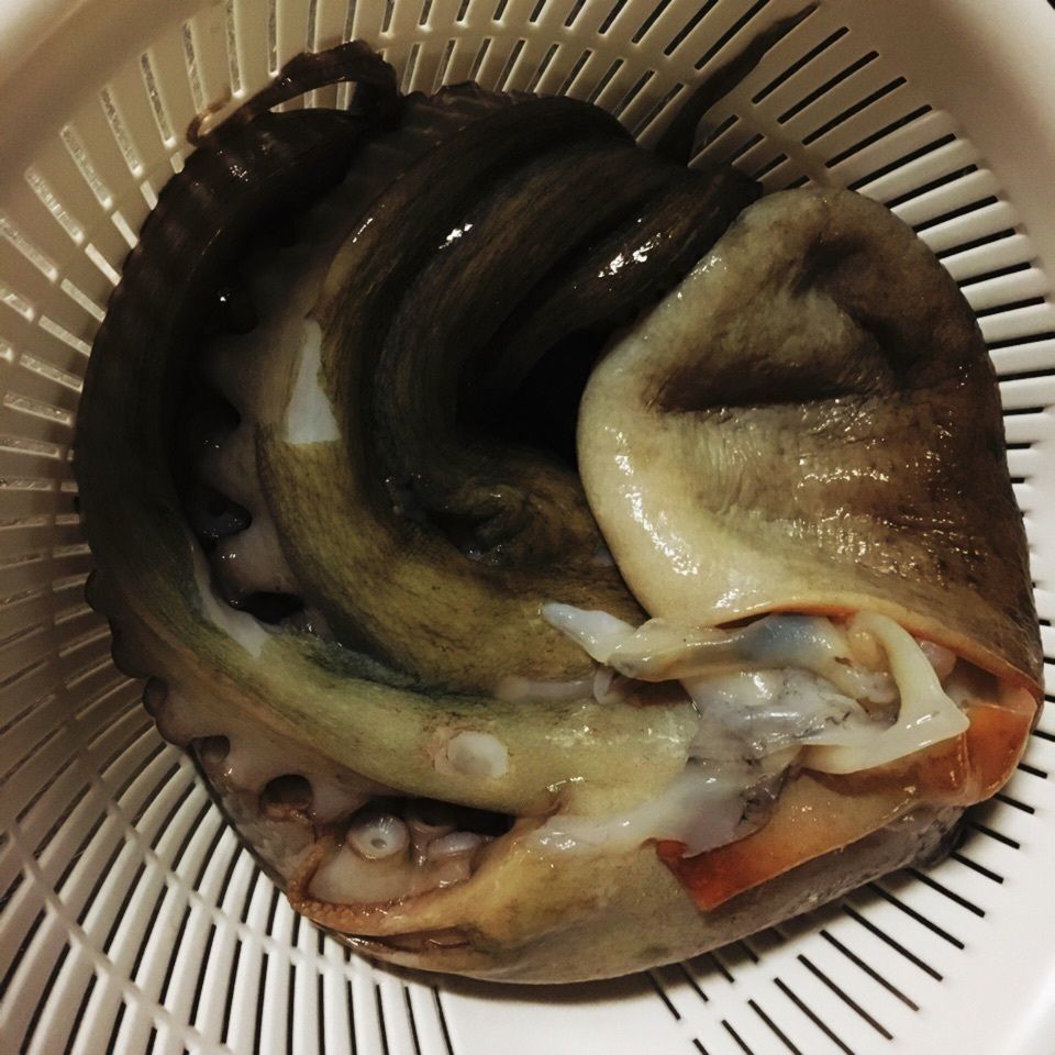yoshiさんが投稿した画像の画像