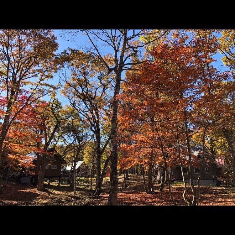 Annashuna0830さんが投稿した画像の画像