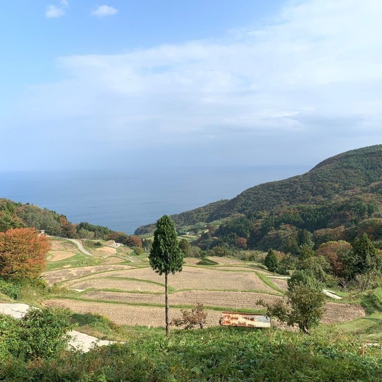 natural_culture_a358さんが投稿した赤亀・風島なぎさ公園に関する口コミの画像