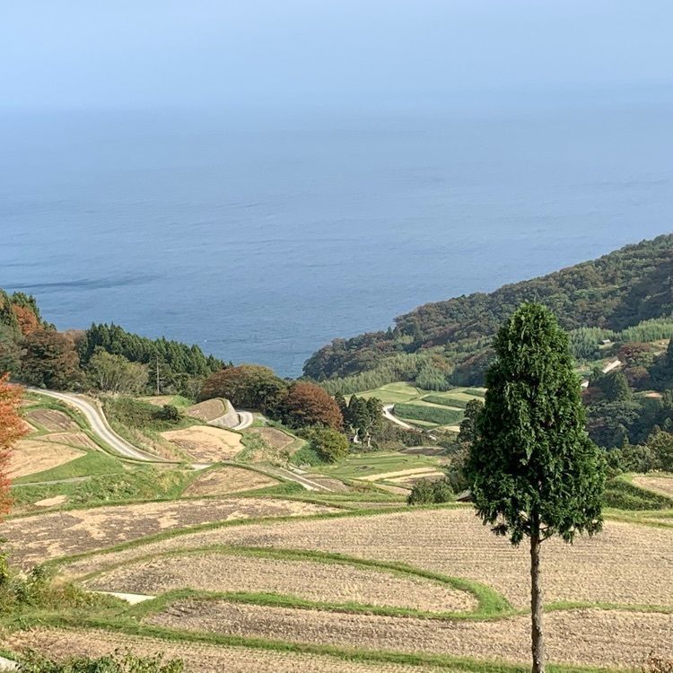 natural_culture_a358さんが投稿した赤亀・風島なぎさ公園に関する口コミの画像