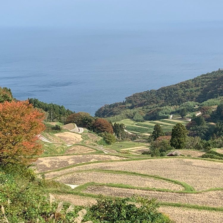 natural_culture_a358さんが投稿した赤亀・風島なぎさ公園に関する口コミの画像