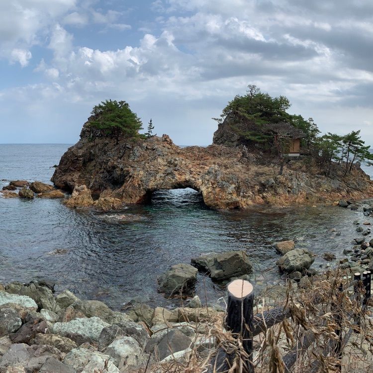 natural_culture_a358さんが投稿した赤亀・風島なぎさ公園に関する口コミの画像