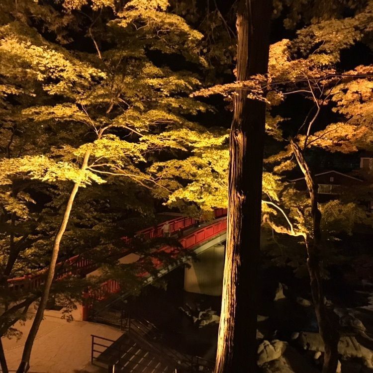 ぷぅさんが投稿した待月橋に関する口コミの画像