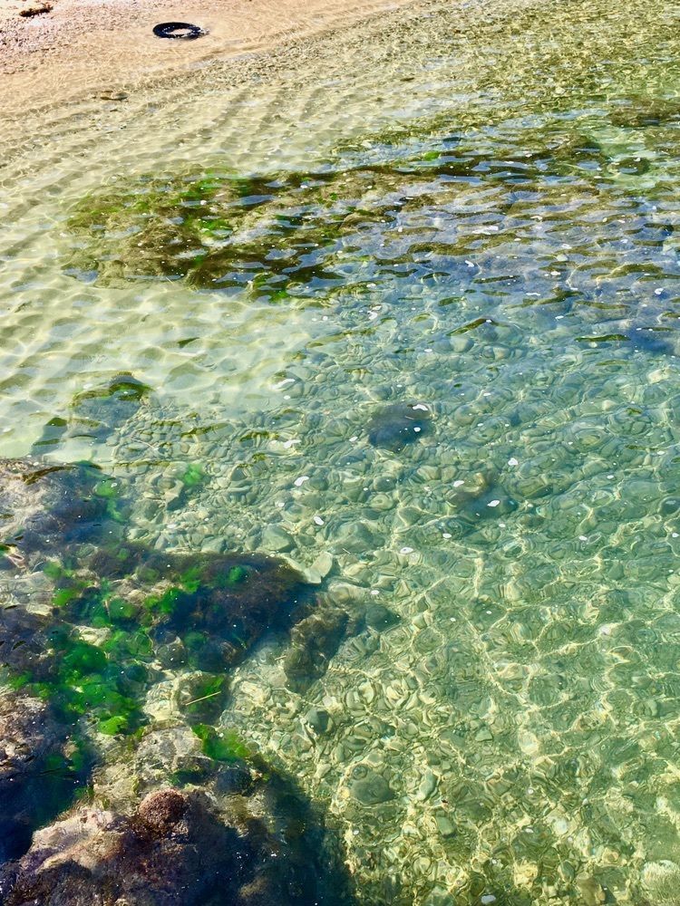 yoshiさんが投稿した浦富海岸に関する口コミの画像