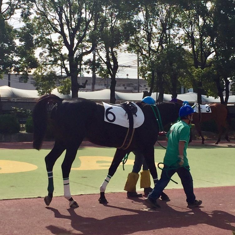 酔TAROUさんが投稿した園田競馬場に関する口コミの画像