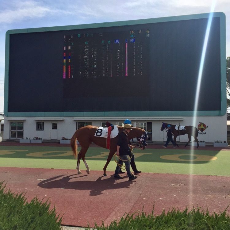 酔TAROUさんが投稿した園田競馬場に関する口コミの画像