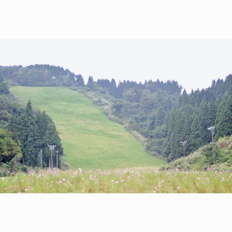 neco-meさんが投稿した大倉岳高原スキー場に関する口コミの画像