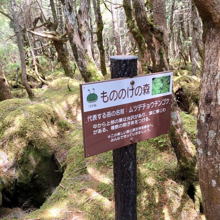 💧- ma - 🍀 - ka -💧さんが投稿したやきとり家 美濃路 刈谷北店（やきとりやみのじ）に関する口コミの画像