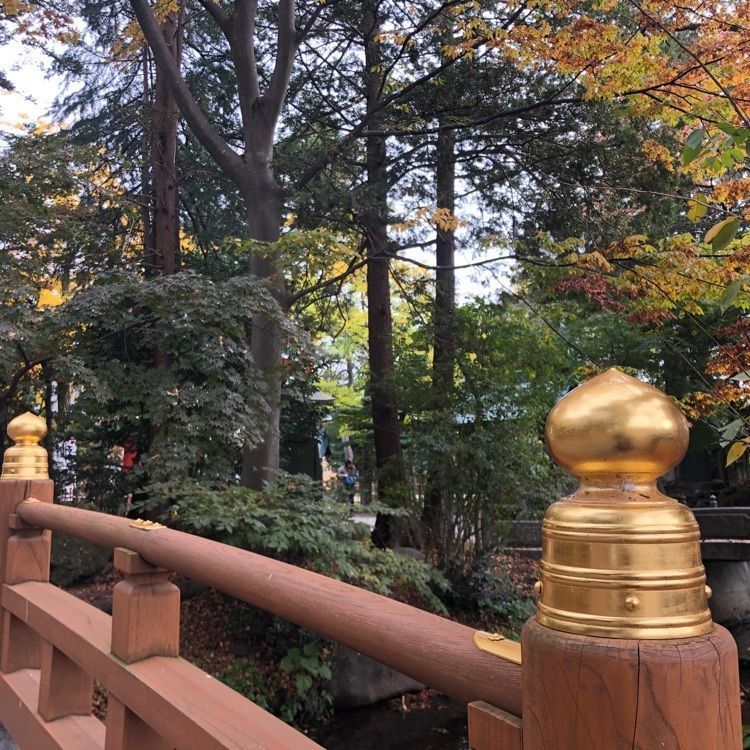 タッキーさんが投稿した諏訪神社に関する口コミの画像