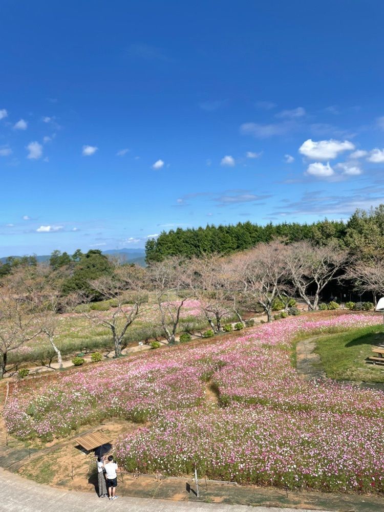 luckyさんが投稿した中尾山展望台に関する口コミの画像