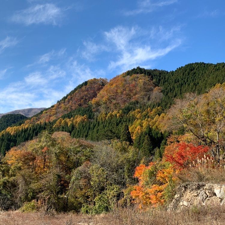 Howl Monさんが投稿しためいほう高原に関する口コミの画像